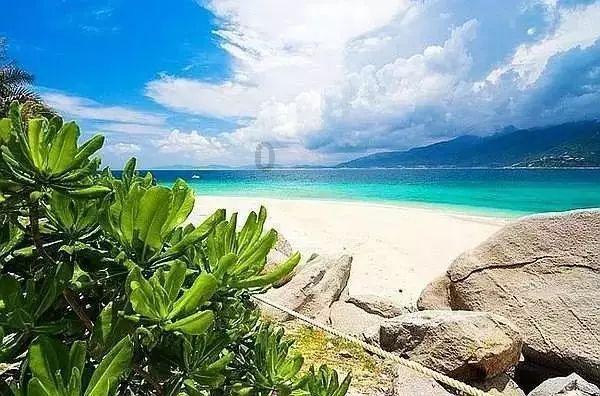 收评:指数午后走势分化沪指翻红 房地产板块领涨